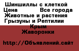 Шиншиллы с клеткой › Цена ­ 8 000 - Все города Животные и растения » Грызуны и Рептилии   . Крым,Жаворонки